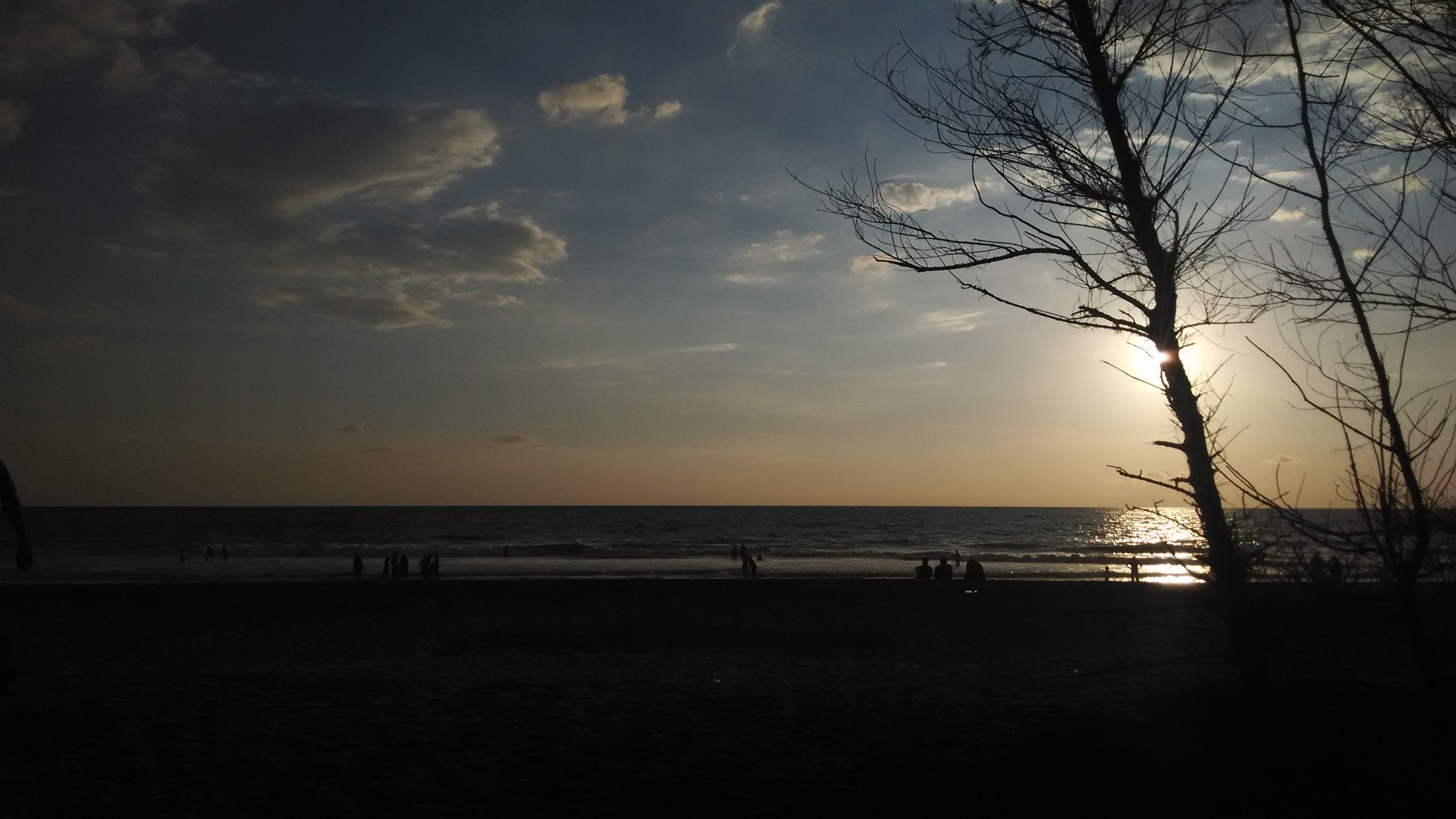 Escena de playa con el sol poniéndose sobre el océano, siluetas de personas en la orilla y un árbol sin hojas en primer plano.