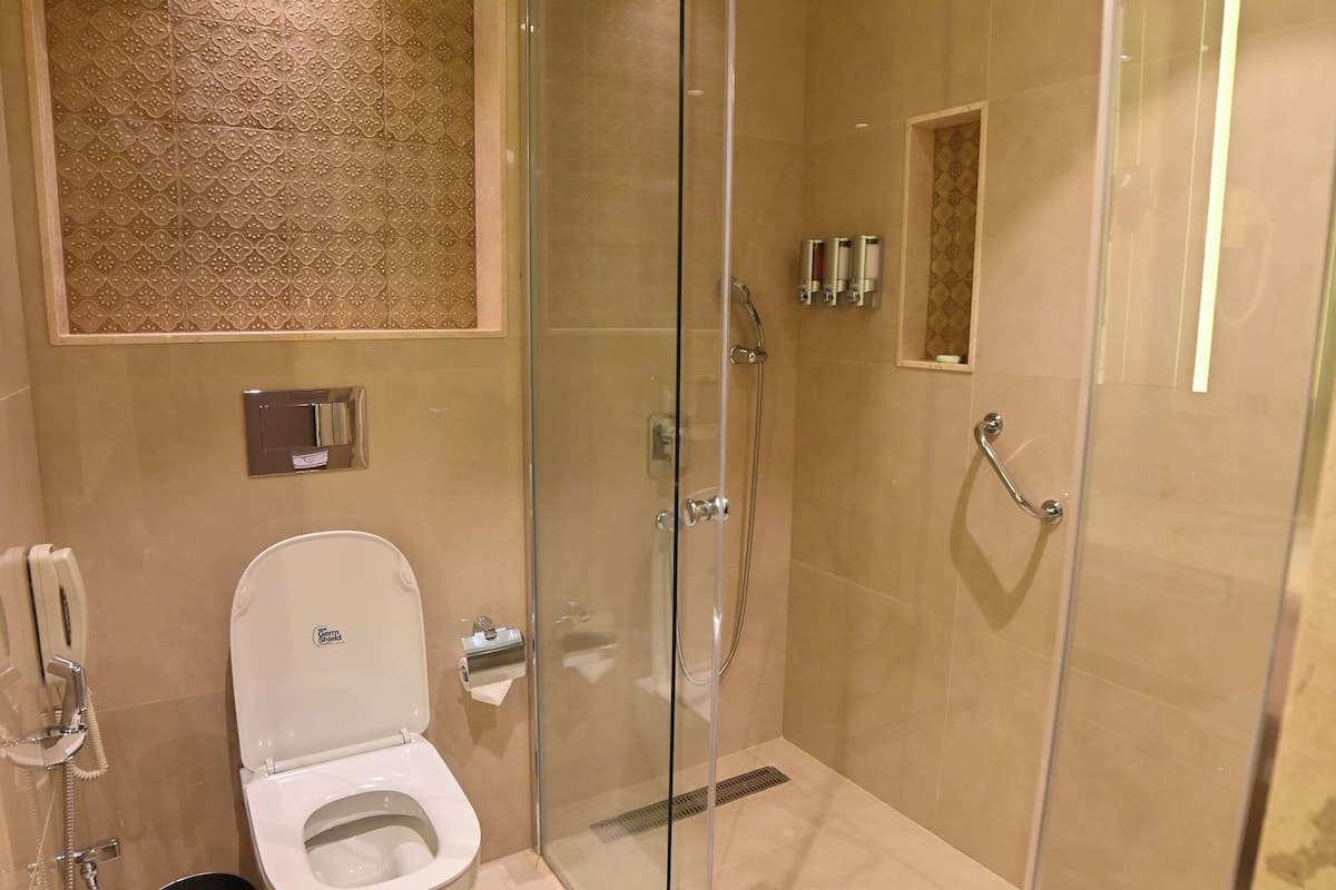 combined shower/bathtub, free toiletries, hair dryer, bathrobes