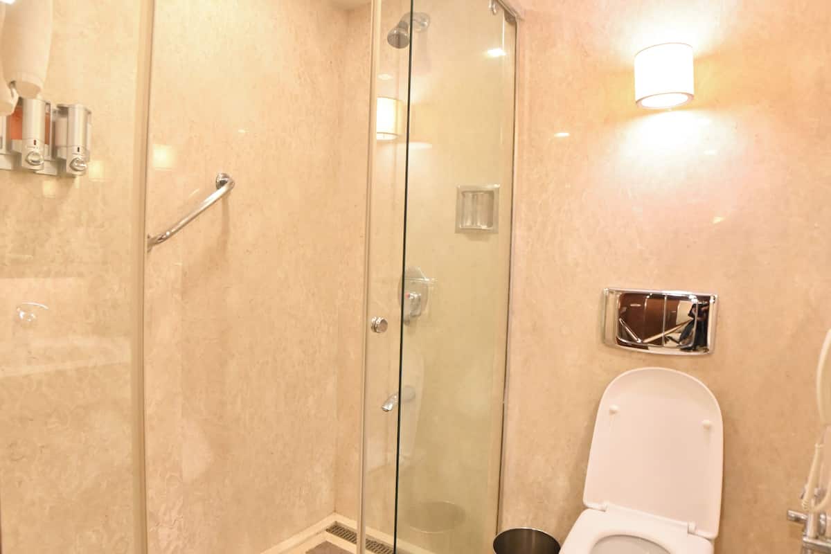 combined shower/bathtub, free toiletries, hair dryer, bathrobes