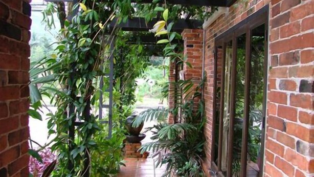 A brick corridor with a covered walkway, potted plants, and a window on the right. - Pathu Resort Ranong (Ranong)