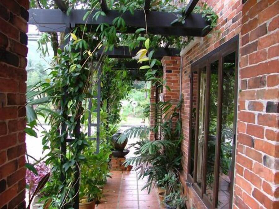 Jardines del alojamiento