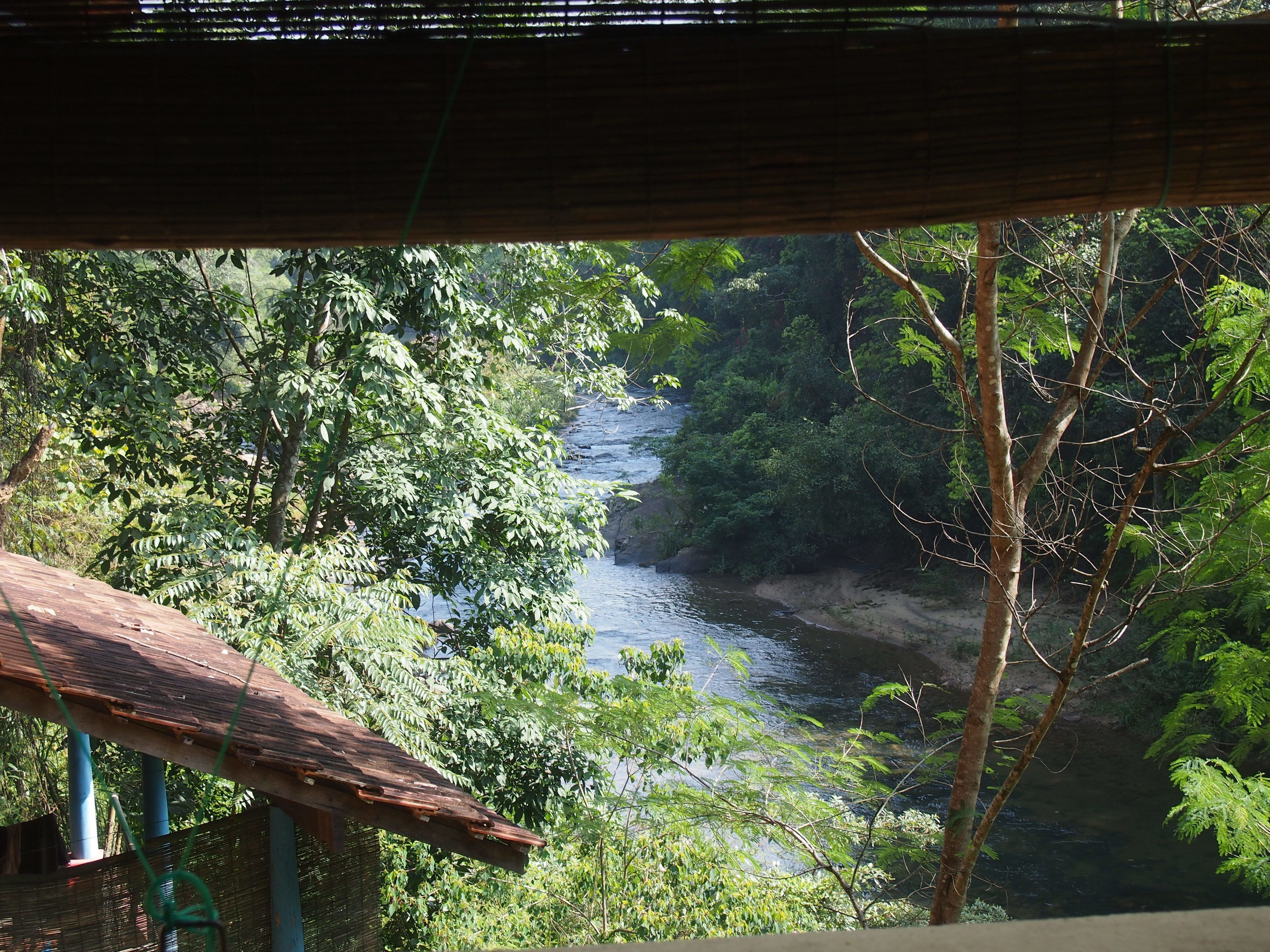 A river surrounded by dense foliage, with a wooden structure partially visible in the foreground.