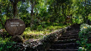 A wooden sign with text, a stone staircase, and lush greenery. - The Kandy Samadhi Centre (Kundasale)
