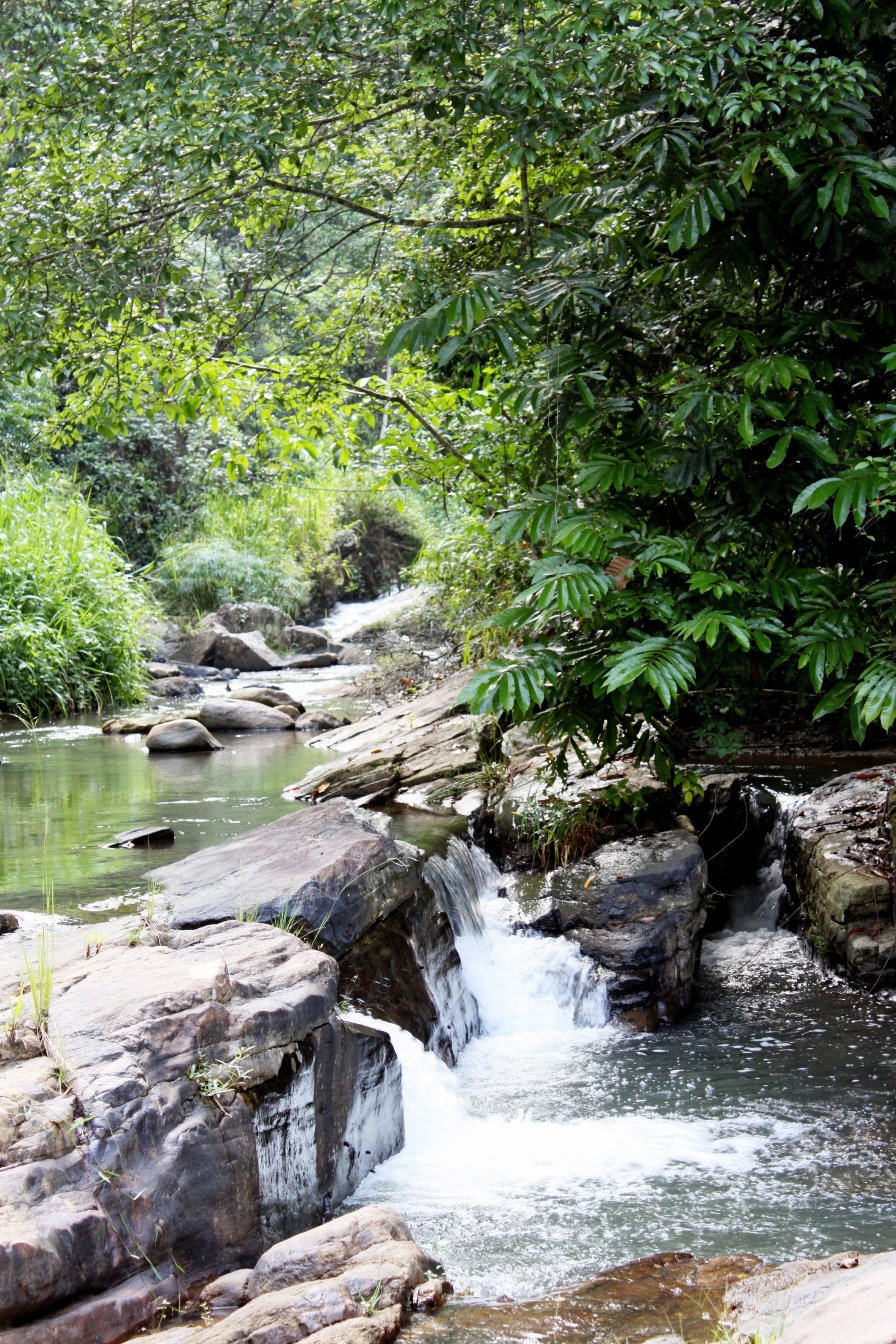 Paisagem natural com uma pequena cascata, rochas e vegetação densa.