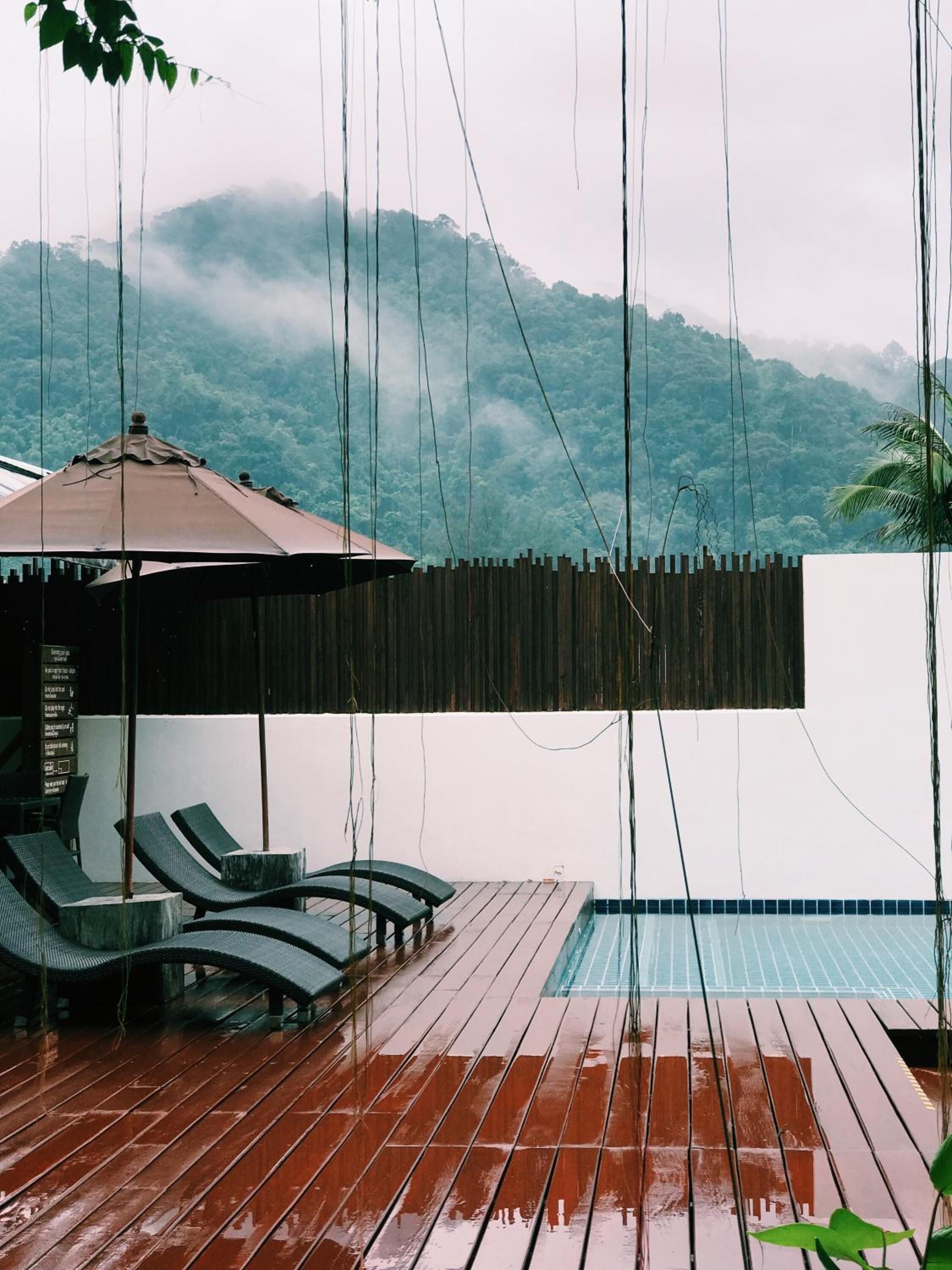 outdoor pool, pool loungers