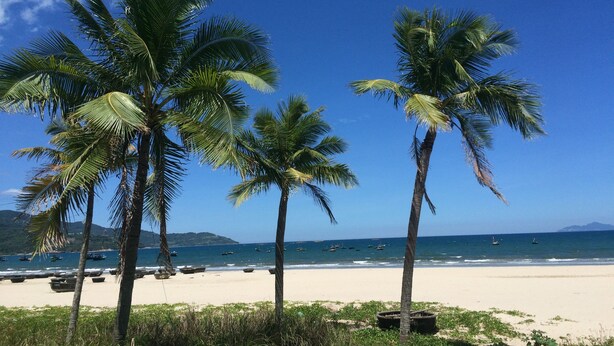 A beach with palm trees and boats on the shore. - Dreams Hotel Danang (Da Nang)