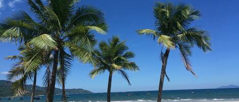 Playa en los alrededores