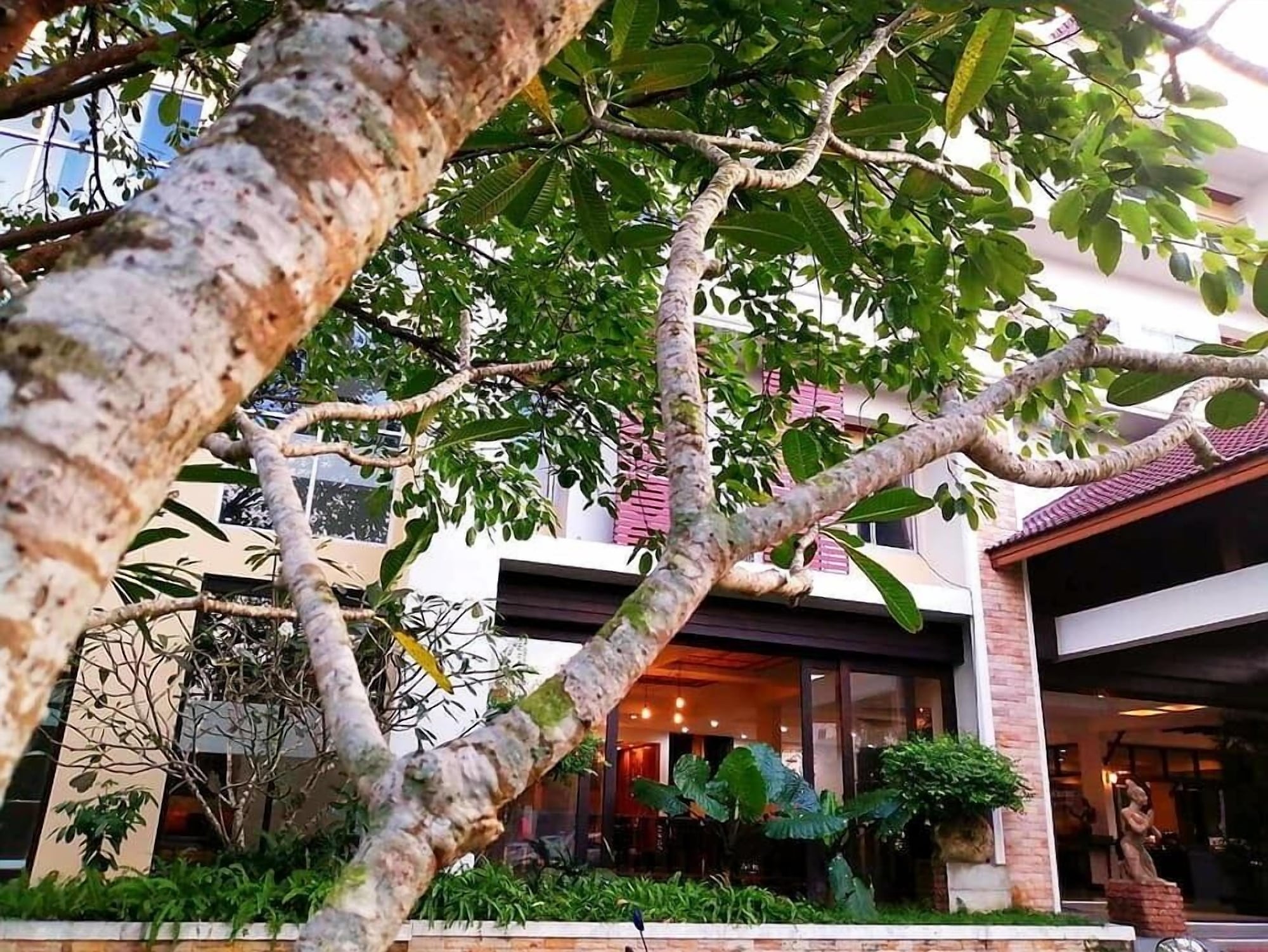 โรงแรม 3 ดาว