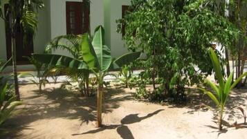 Un patio con diversas plantas y un edificio con paredes blancas y marcos de ventana rojos.