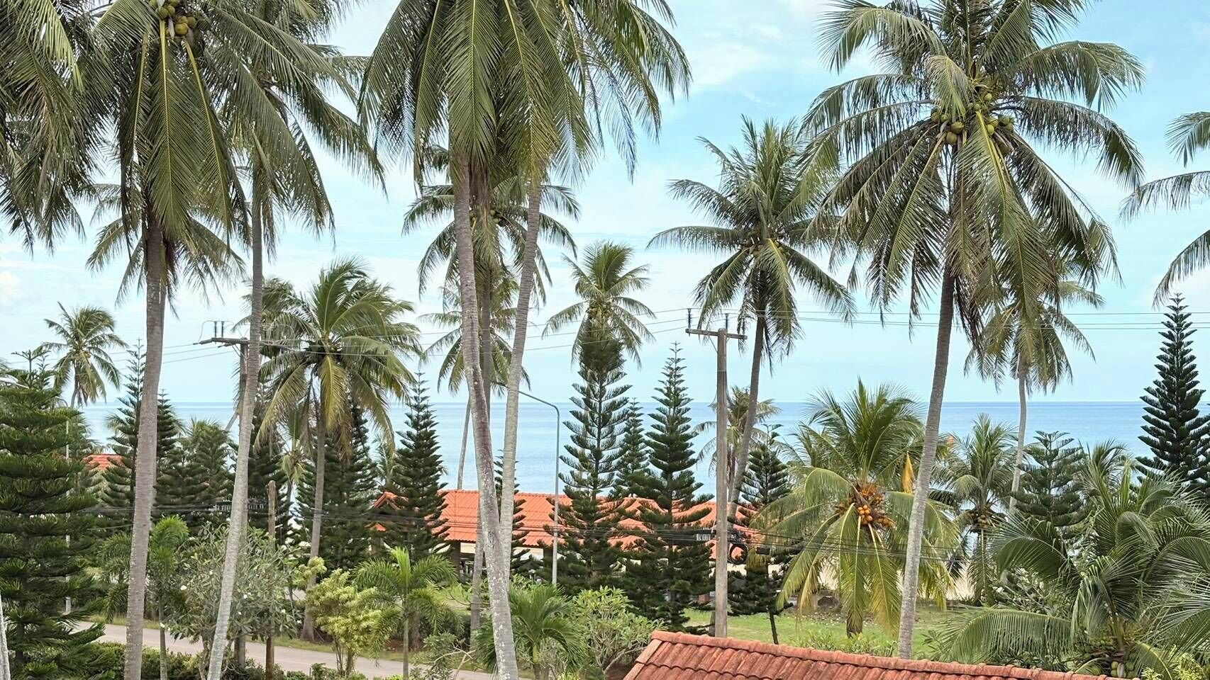 Vista costera con altas palmeras y un edificio de techo rojo.