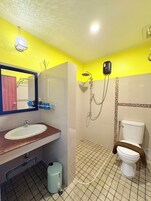 A bathroom with a sink, mirror, shower, and toilet.