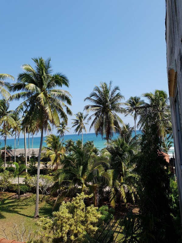 Un paysage tropical avec des palmiers et une vue sur l’océan.