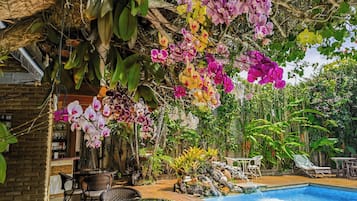 Alberca al aire libre y camastros