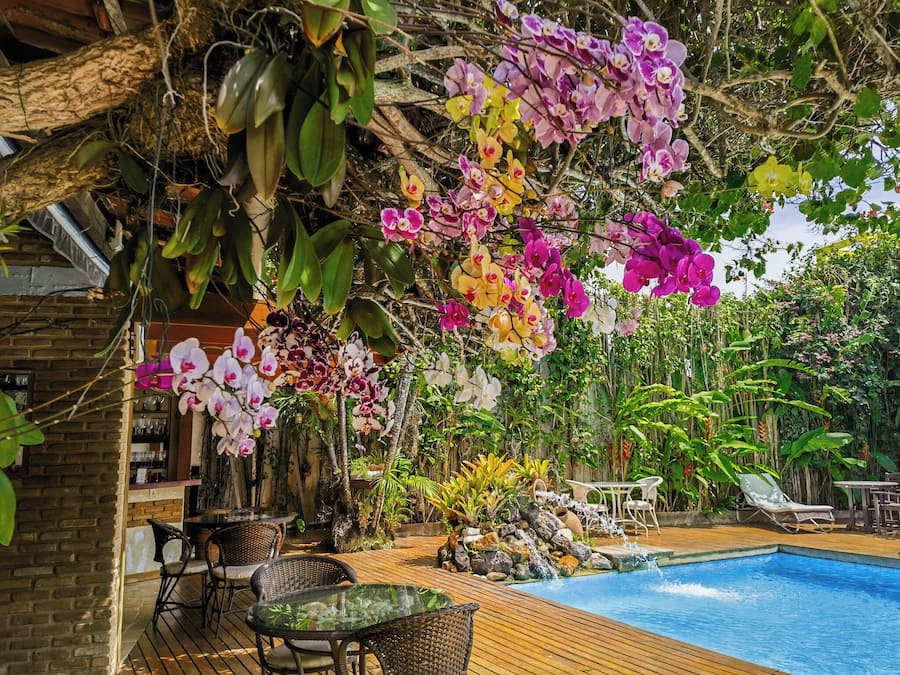 Piscine extérieure, chaises longues