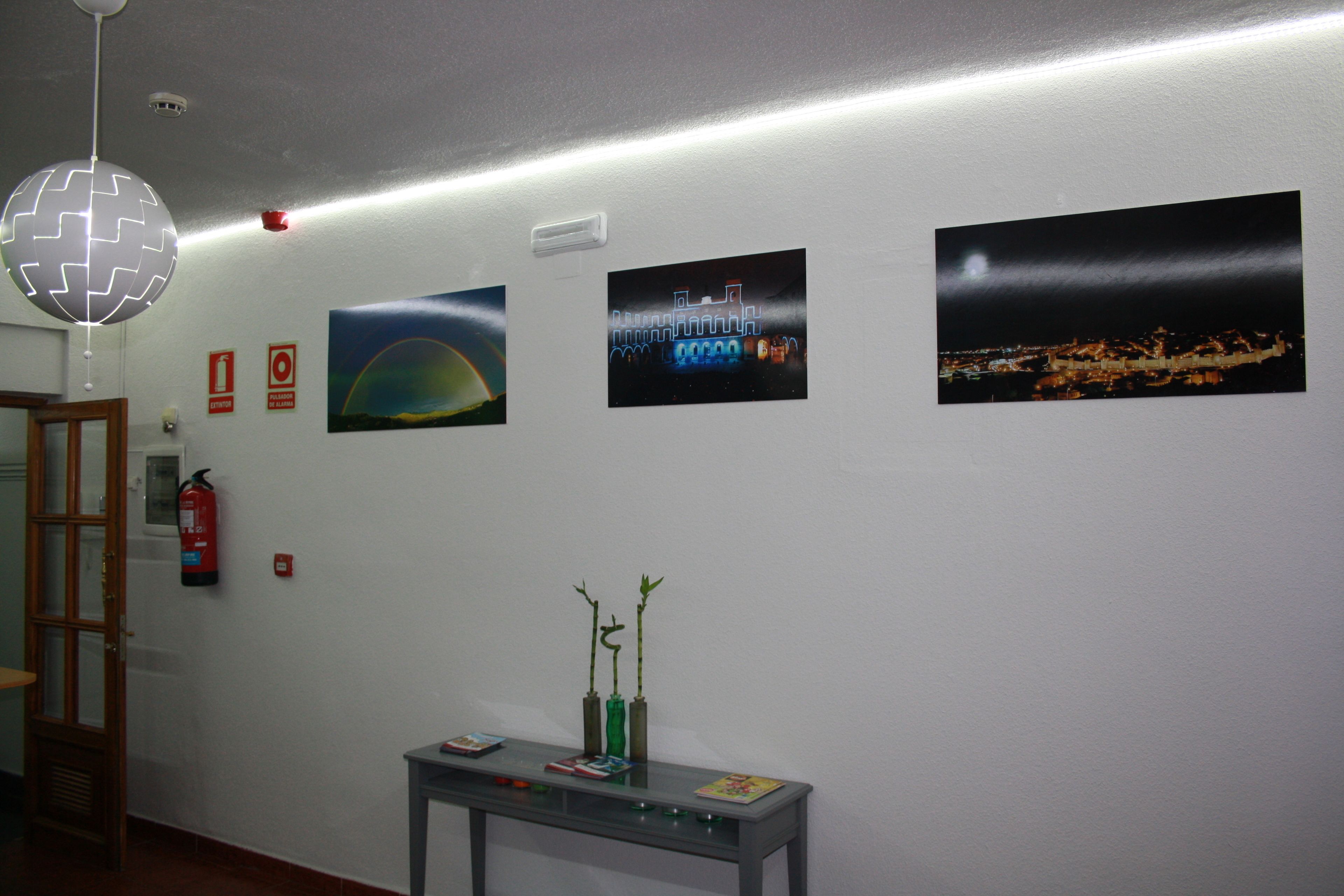 A hallway with a fire extinguisher, a fire alarm, and a table with plants and books.