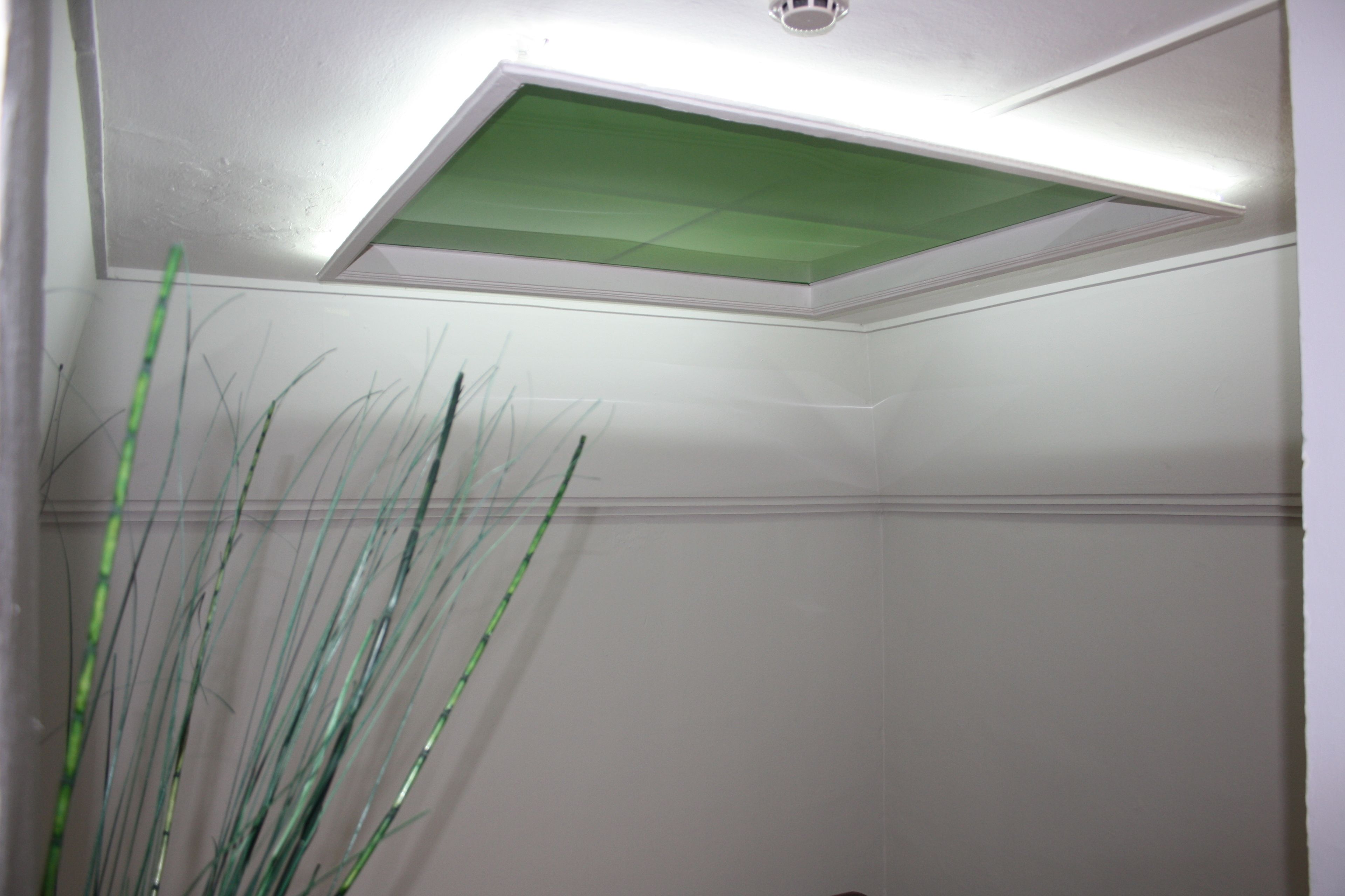 A corner of a room with a white wall, a green ceiling light, and a plant with long, thin leaves.