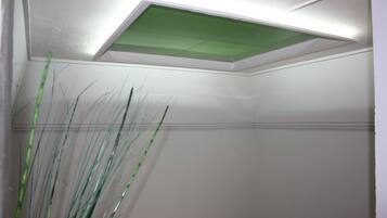 A corner of a room with a white wall, a green ceiling light, and a plant with long, thin leaves.