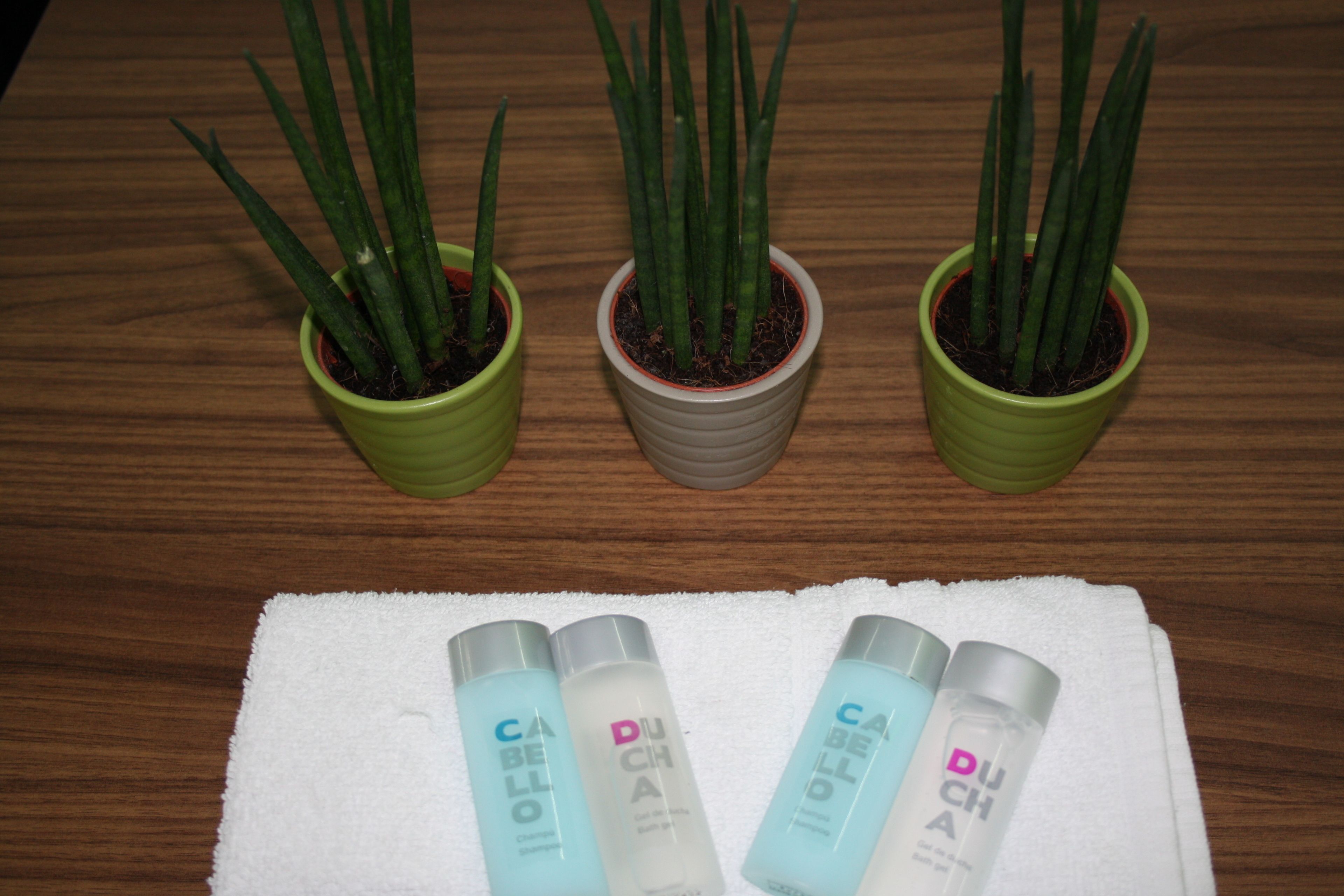 Photo - Hostal La Estación