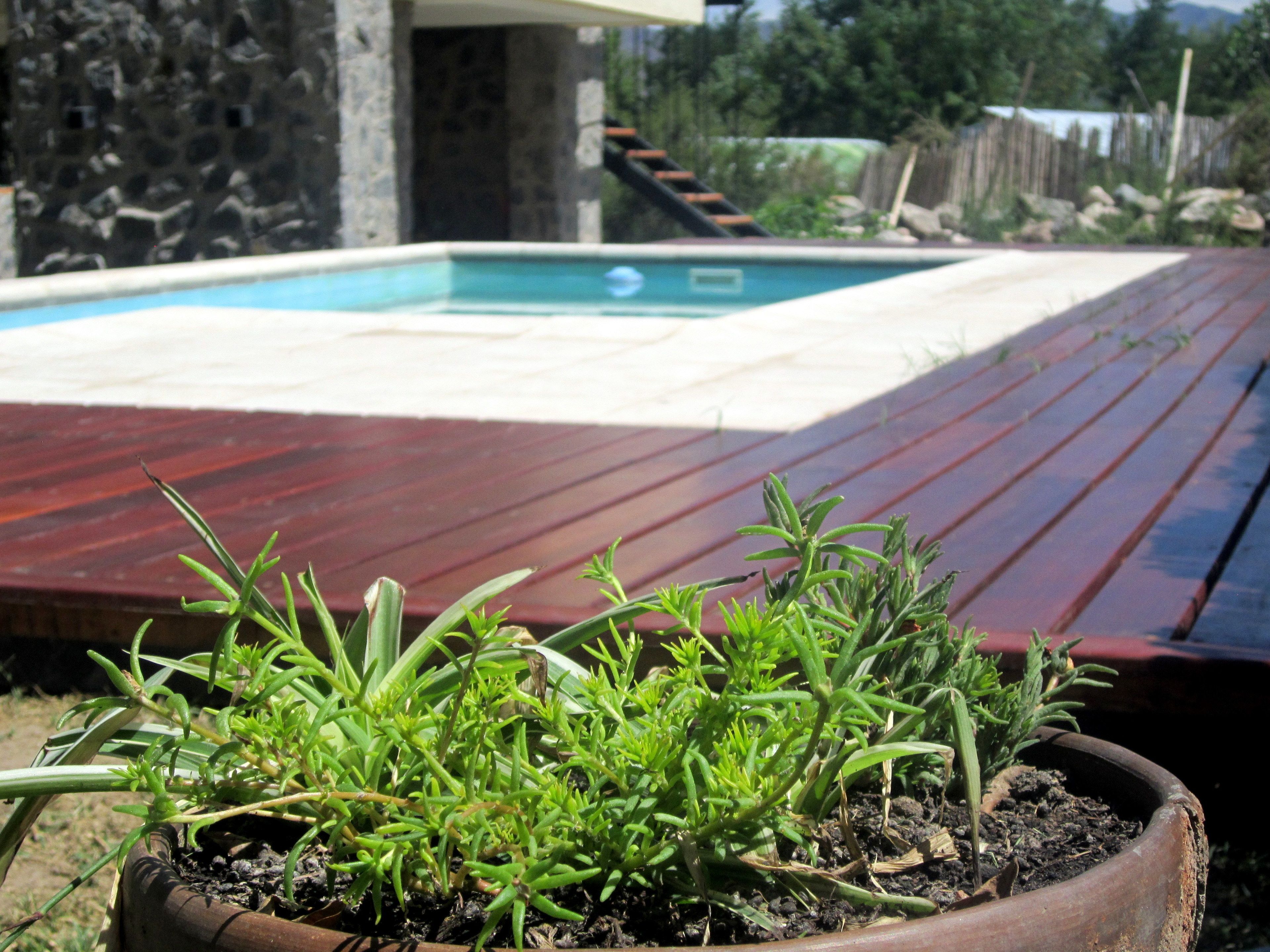A wooden deck with a potted plant in the foreground.