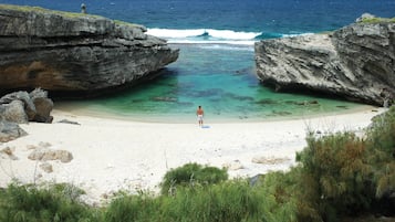 Beach nearby, rowing, fishing