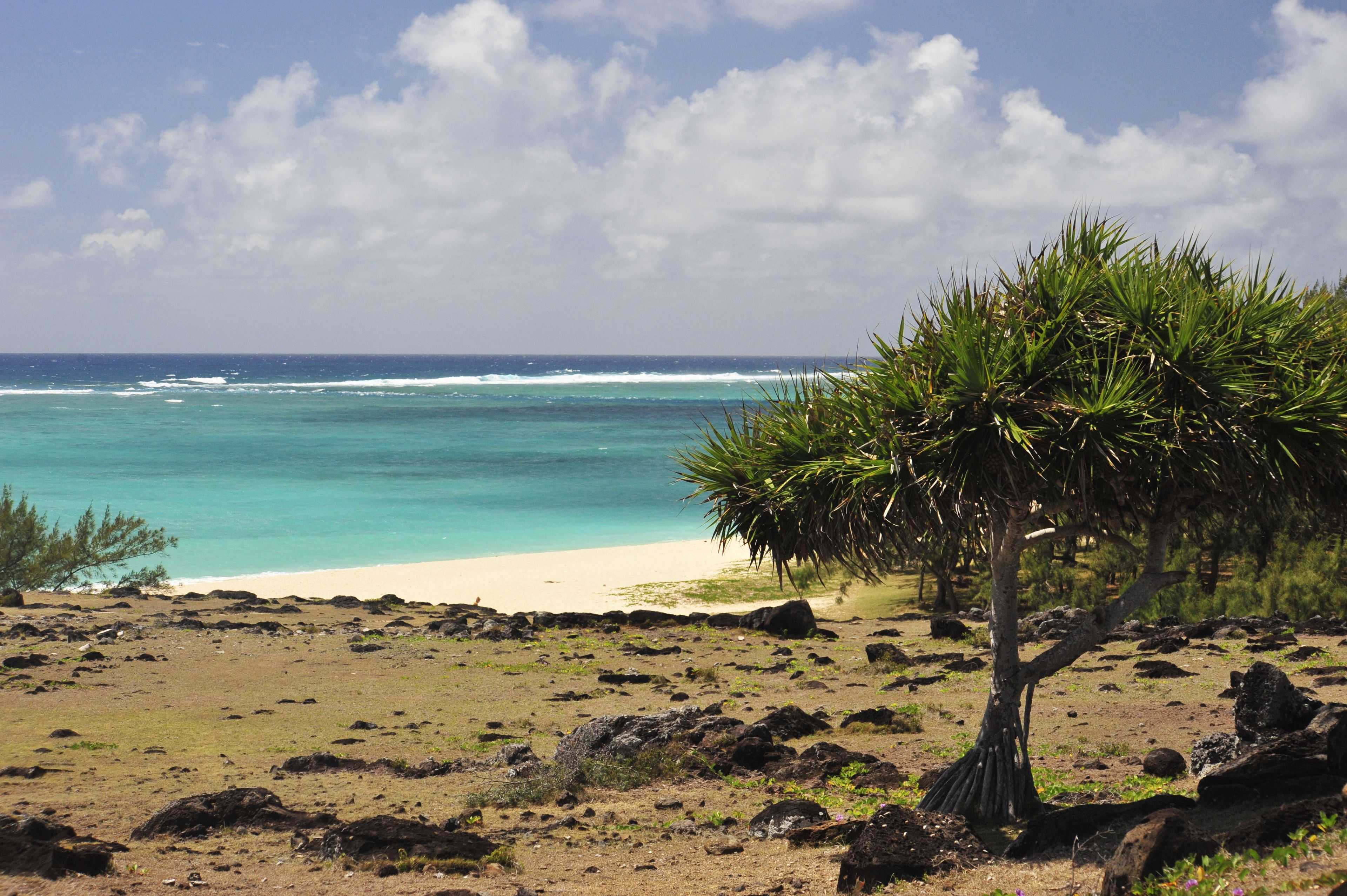 Beach nearby, rowing, fishing