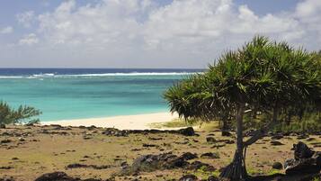 Beach nearby, rowing, fishing