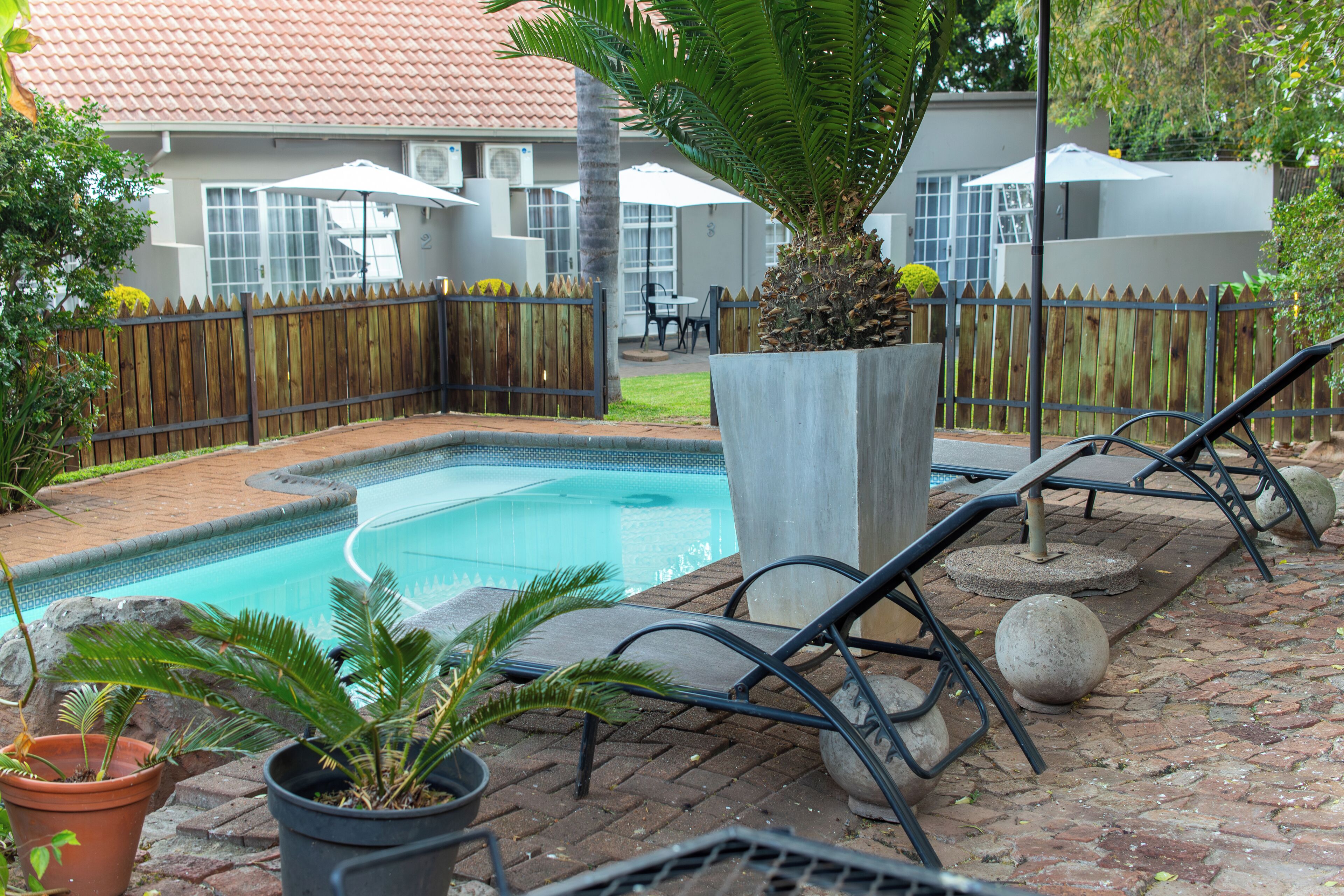 Une piscine avec des chaises longues et des plantes en pot.