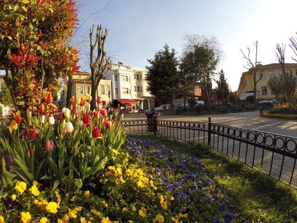 A street with a variety of flowers, including tulips and pansies, and a black metal fence.