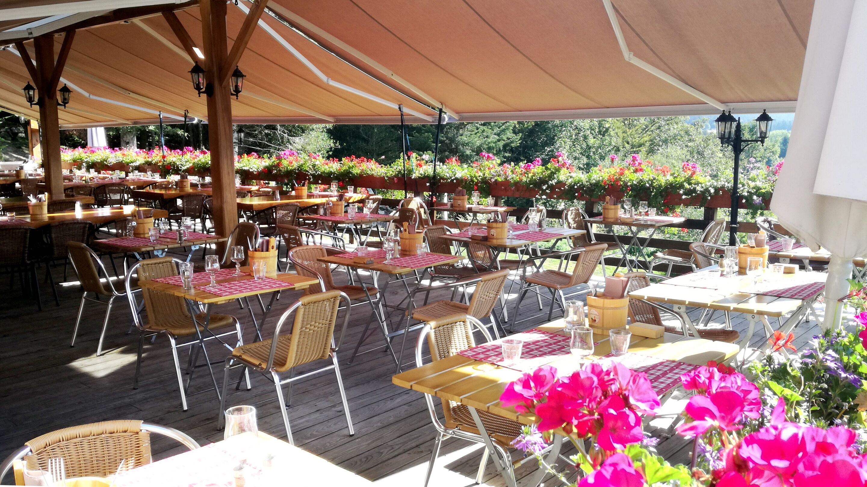 An outdoor dining area with tables and chairs, covered by a canopy, and surrounded by flower arrangements.