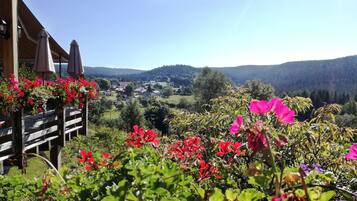 Vue depuis l’hébergement