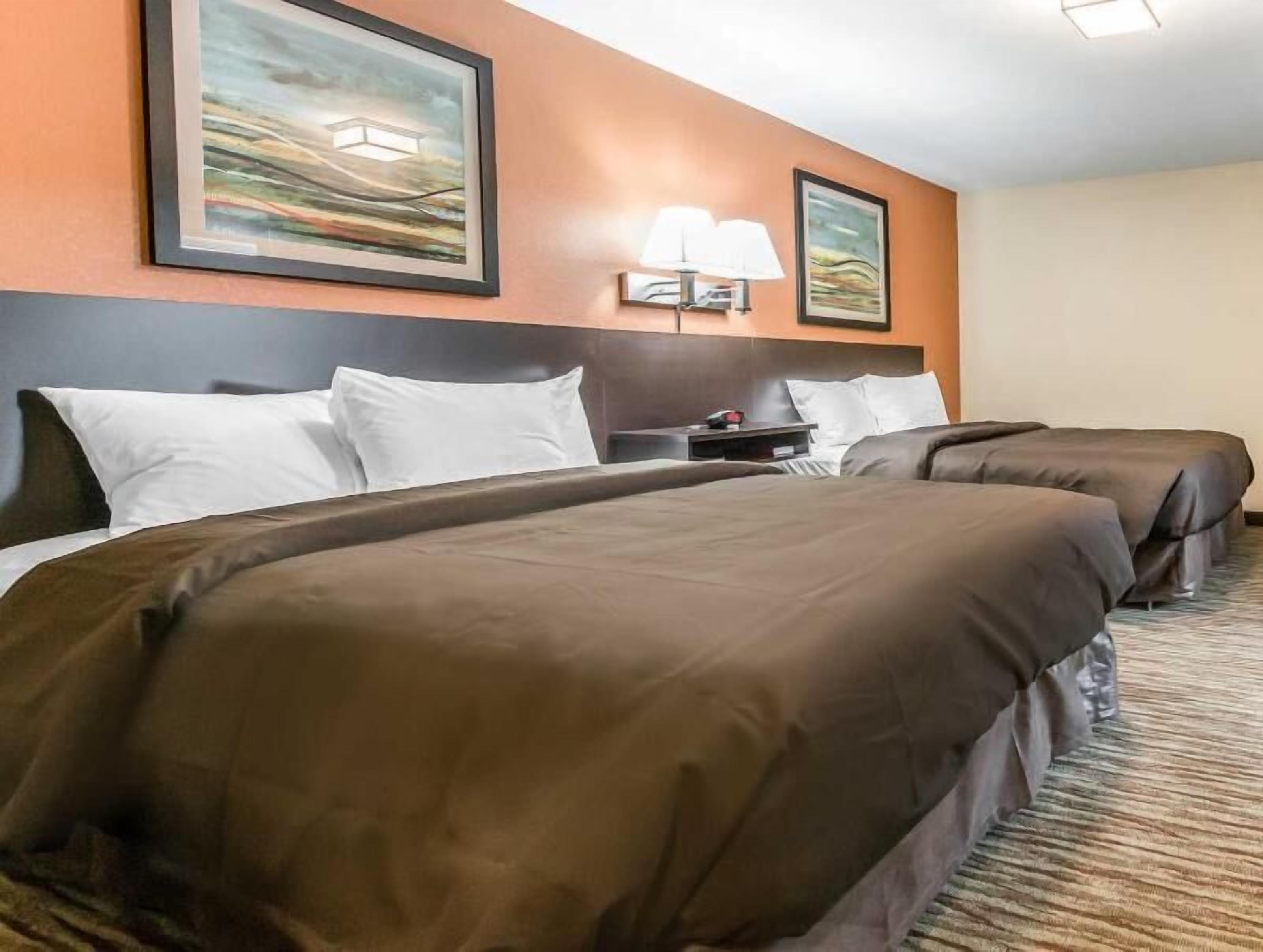 Desk, iron/ironing board, free WiFi, bed sheets