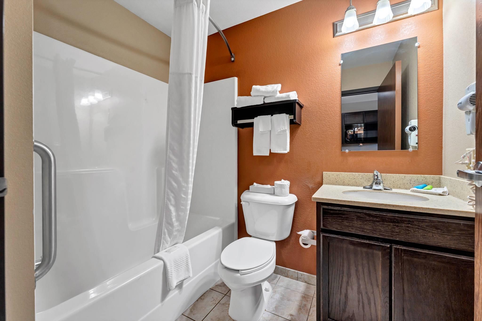 A bathroom with a shower, toilet, sink, and a mirror.