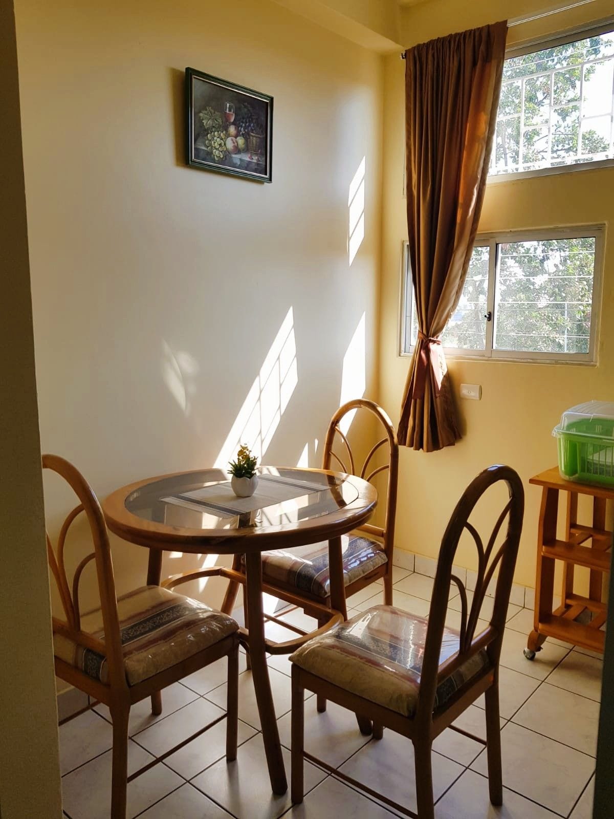 Un coin repas comprenant une table ronde en verre, quatre chaises en bois avec des sièges rembourrés, une plante en pot et une fenêtre avec des rideaux.