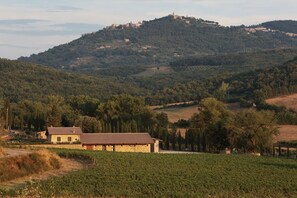 View from property - Agriturismo A. Bonacchi (Montalcino)