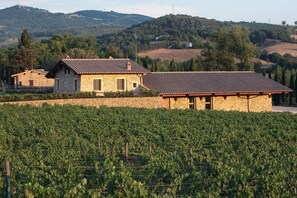 Vista des de l'allotjament