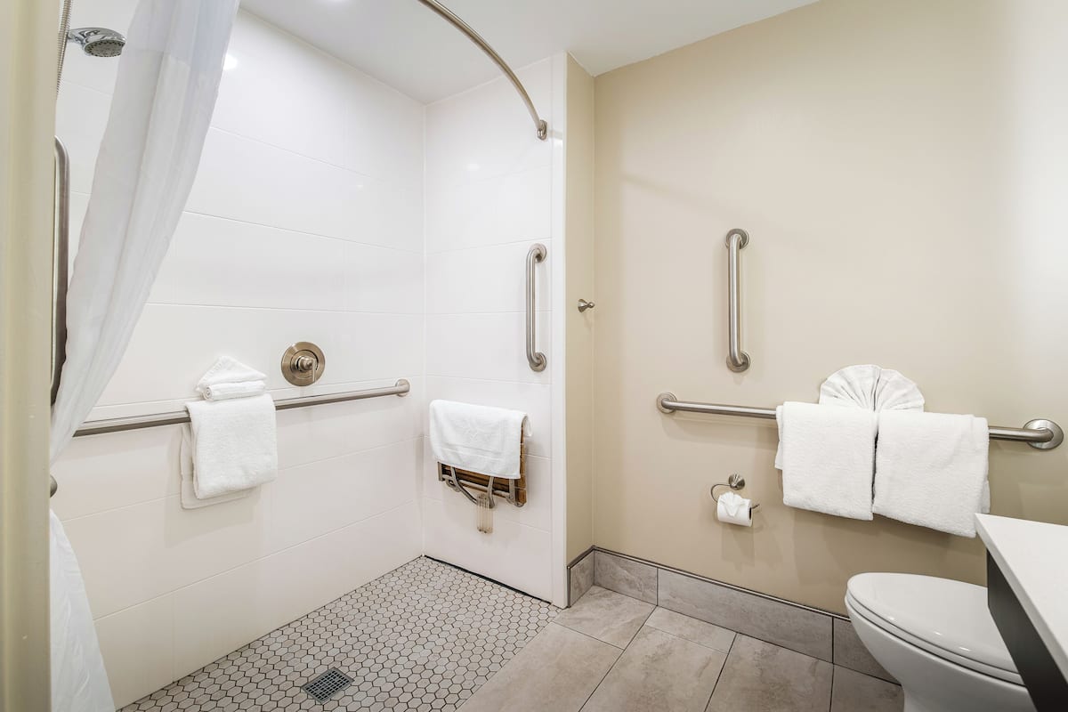 Combined shower/tub, rainfall showerhead, free toiletries, hair dryer
