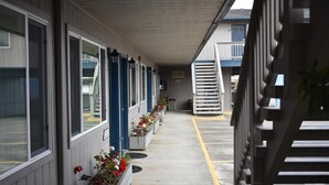 A corridor with a row of rooms, each with a door and windows. There are flower planters along the corridor.