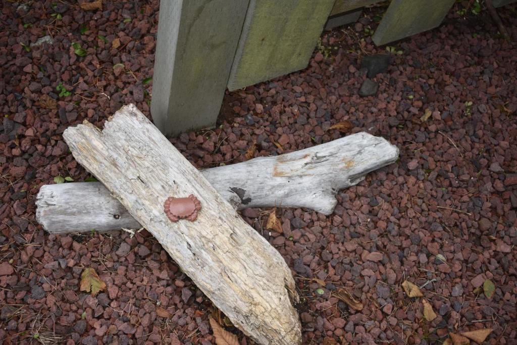 Un morceau de bois usé par les intempéries, reposant sur un lit de petits galets brun rougeâtre.