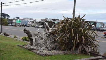 A road with a large fallen tree in the median. There are buildings and a sign that reads 'Welcome to Old Town Bandon.'
