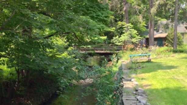 Un jardin paisible avec un sentier de pierres, un petit pont et un banc.
