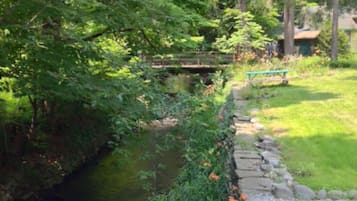 Studio, Private Bathroom, Garden View (Dove house on Tannery br) | View from property