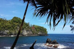 A coastal landscape with a clear view of the ocean, a rocky cliff, and dense vegetation.