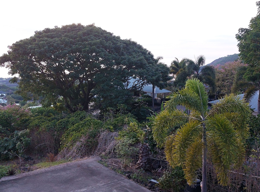 Kona Palace in Captain Cook by null