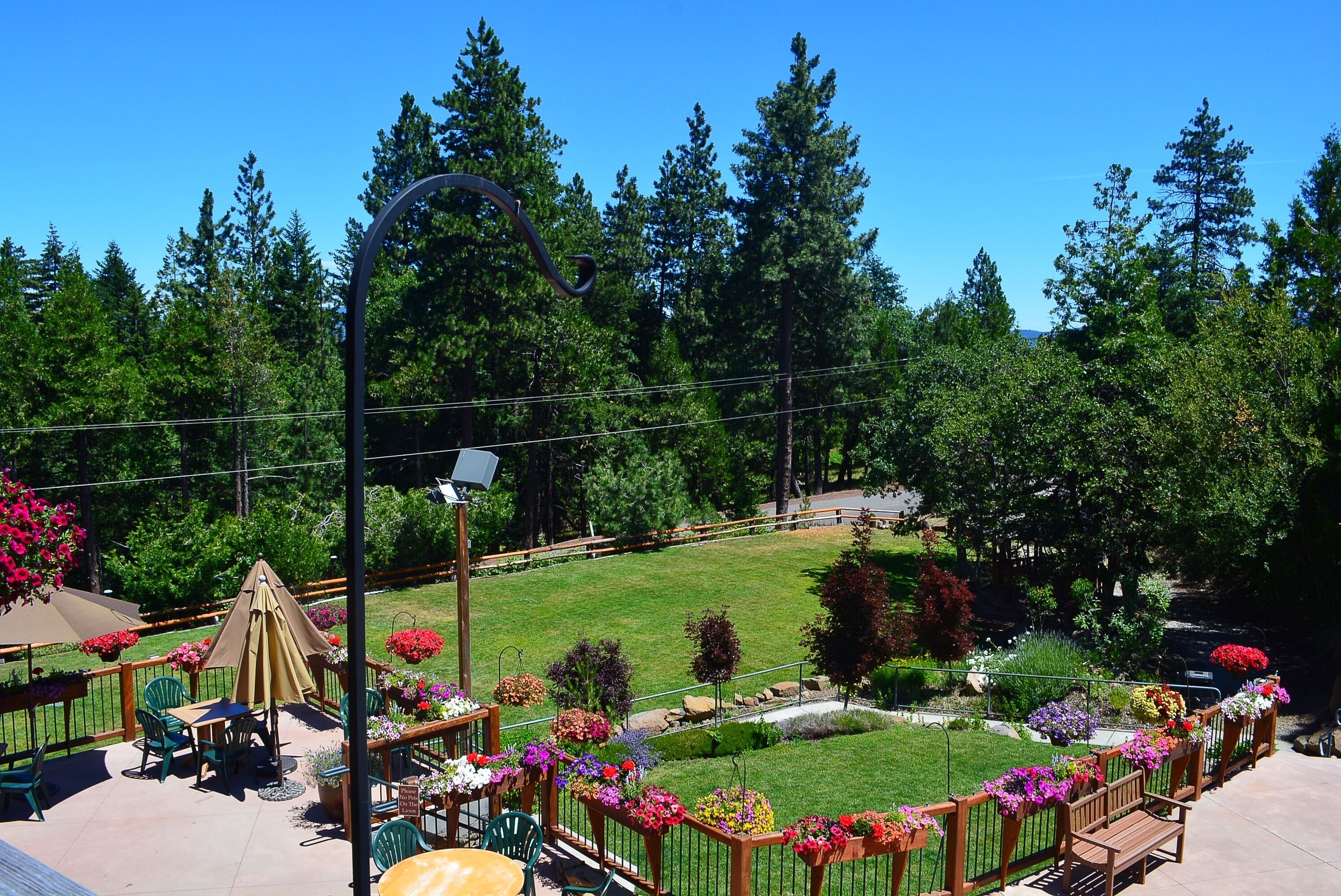 A patio area with outdoor seating, surrounded by a garden with various plants and flowers.