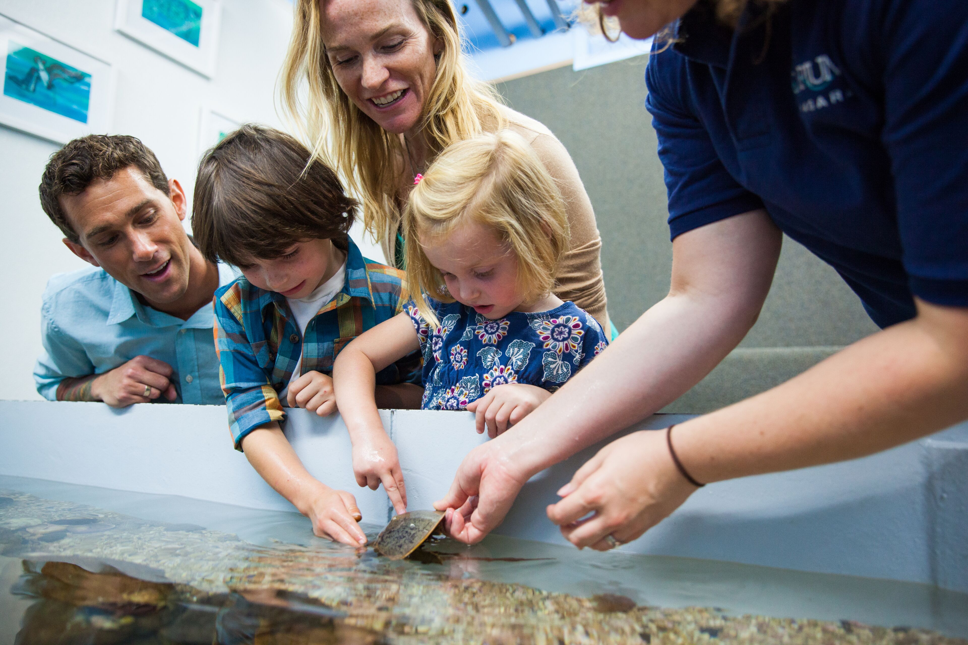 children’s activities