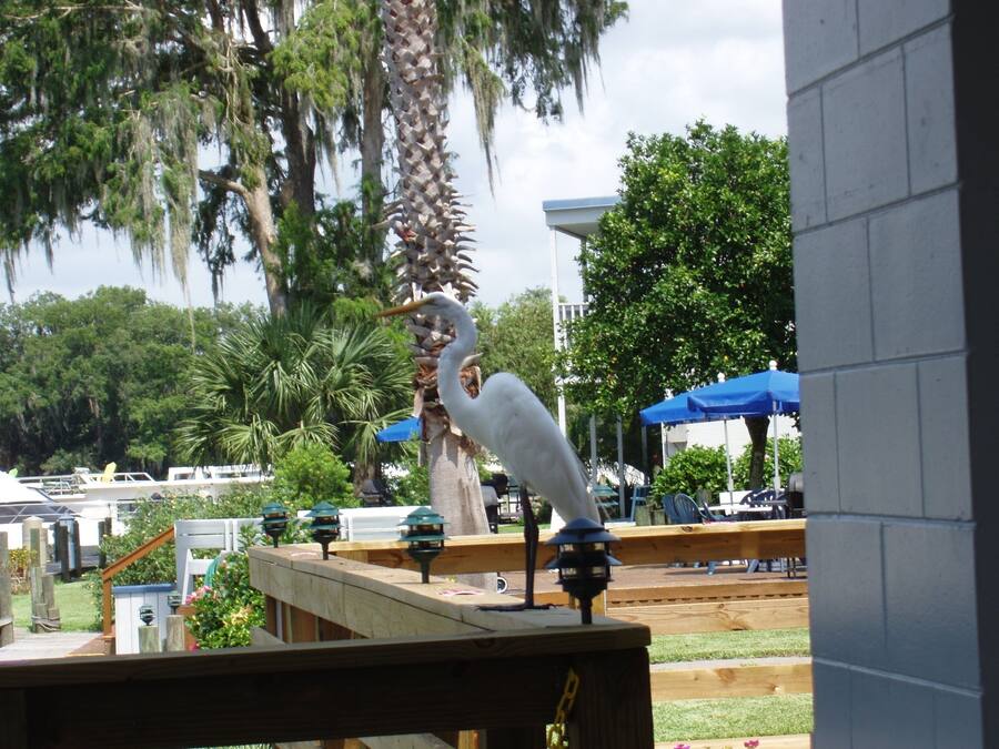A bird statue on a wooden structure with a view of a park and buildings in the background.