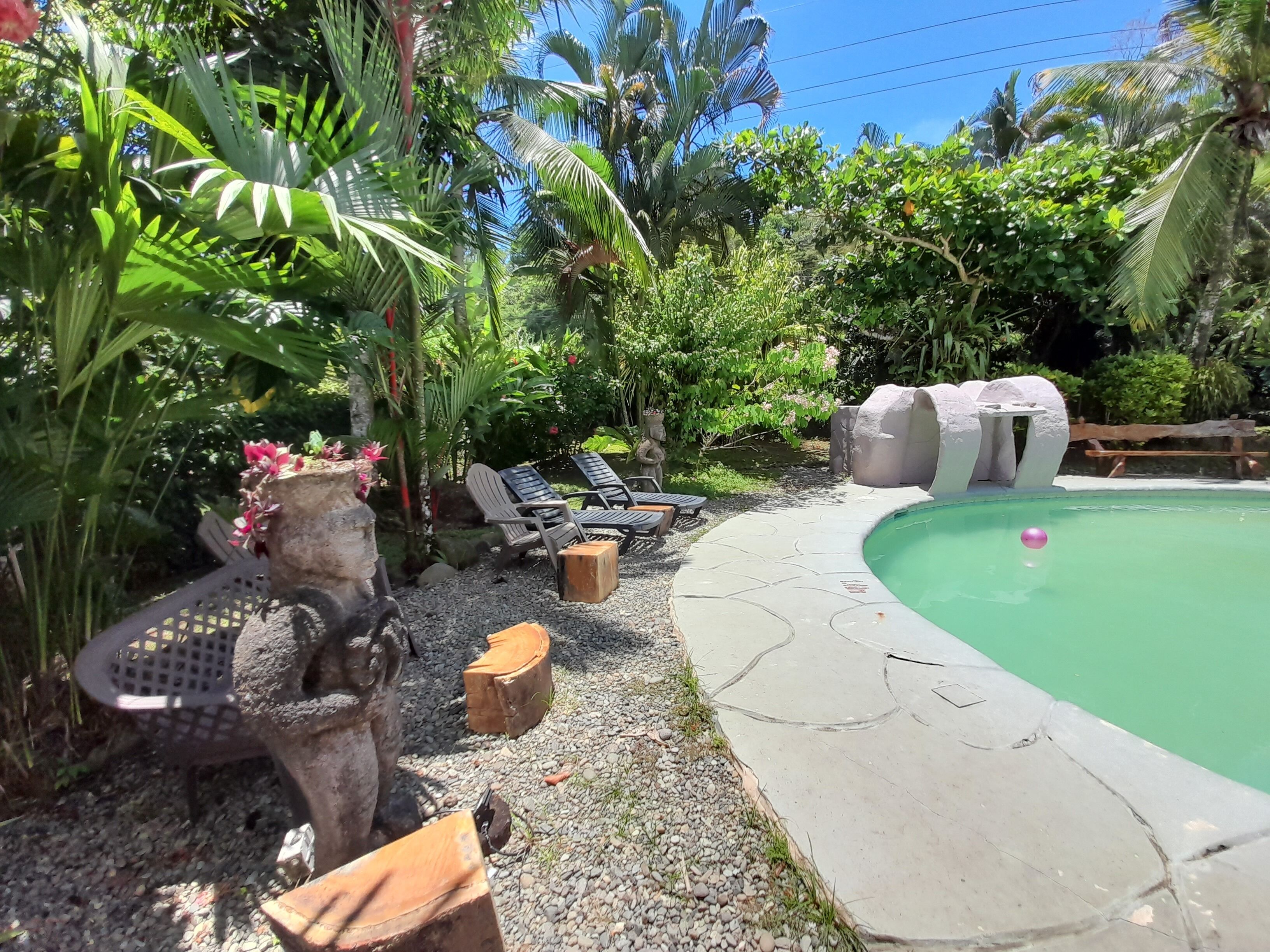 outdoor pool, open 8:00 am to 8:00 pm, pool loungers