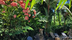 Una piscina rodeada de exuberante vegetación y una estatua.