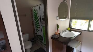 Un baño con inodoro, ducha, lavamanos y espejo.