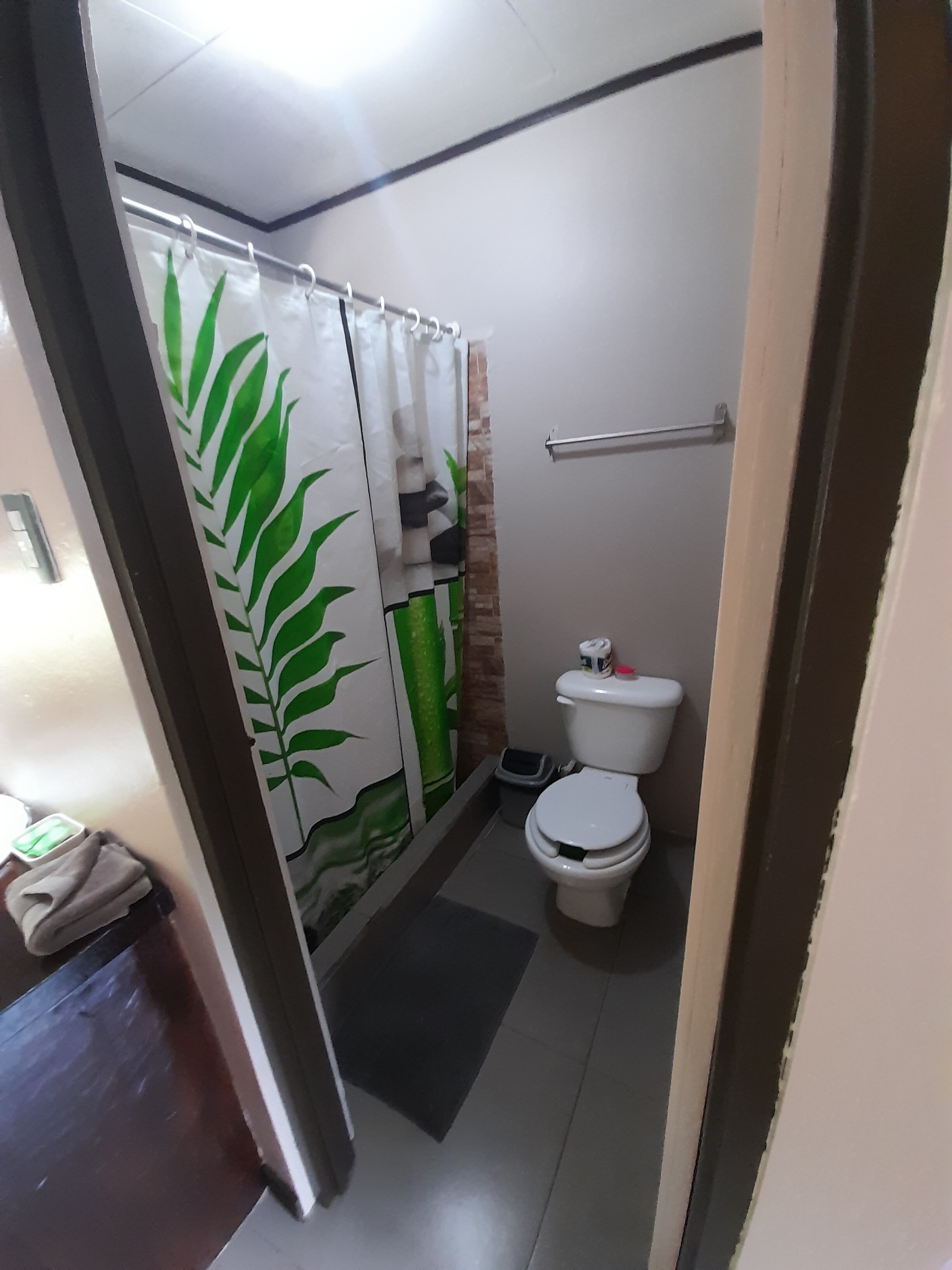 Un bany petit amb vàter, cortina de bany amb dibuix de fulles verdes i paperera.